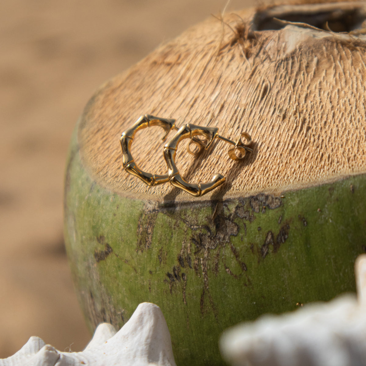 Bambú earrings