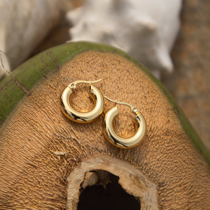 Coralia earrings